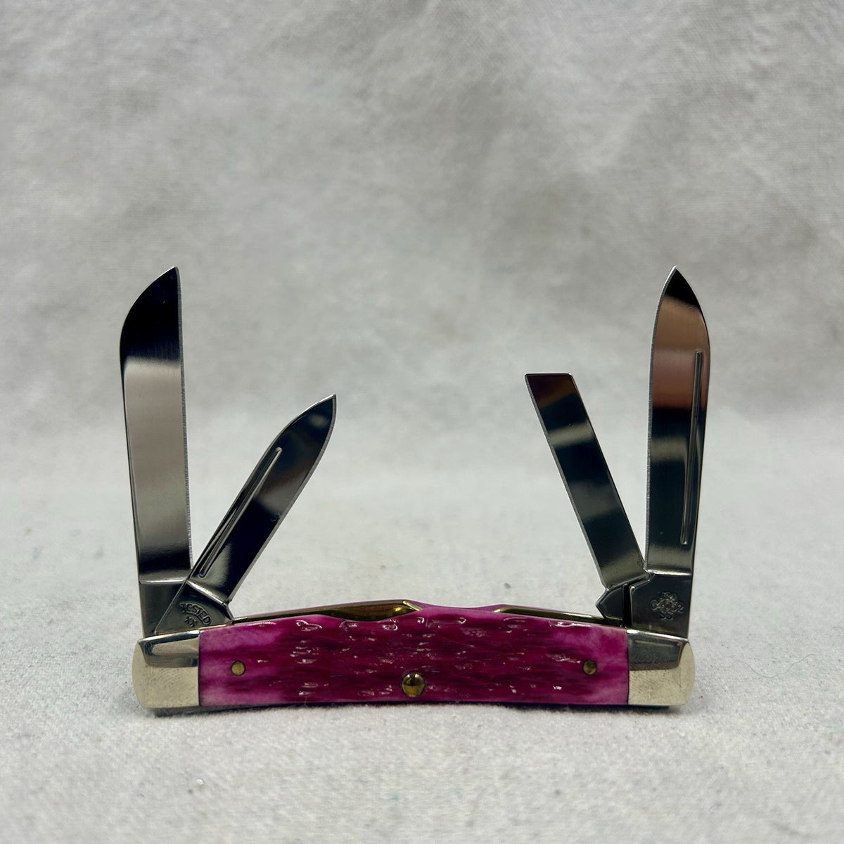 Case XX Congress - Beautiful Magenta Bone