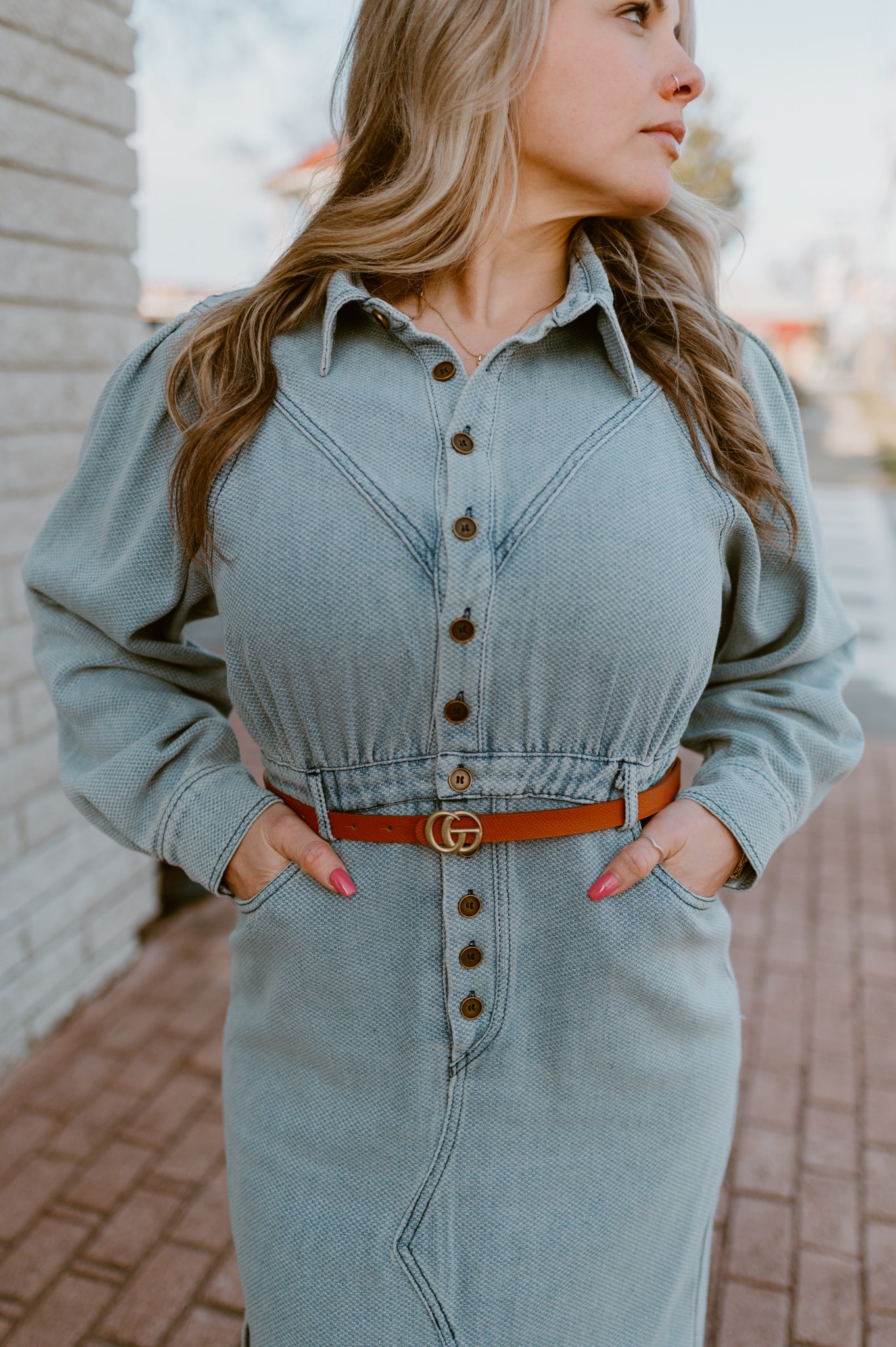 The Laurel Denim Dress