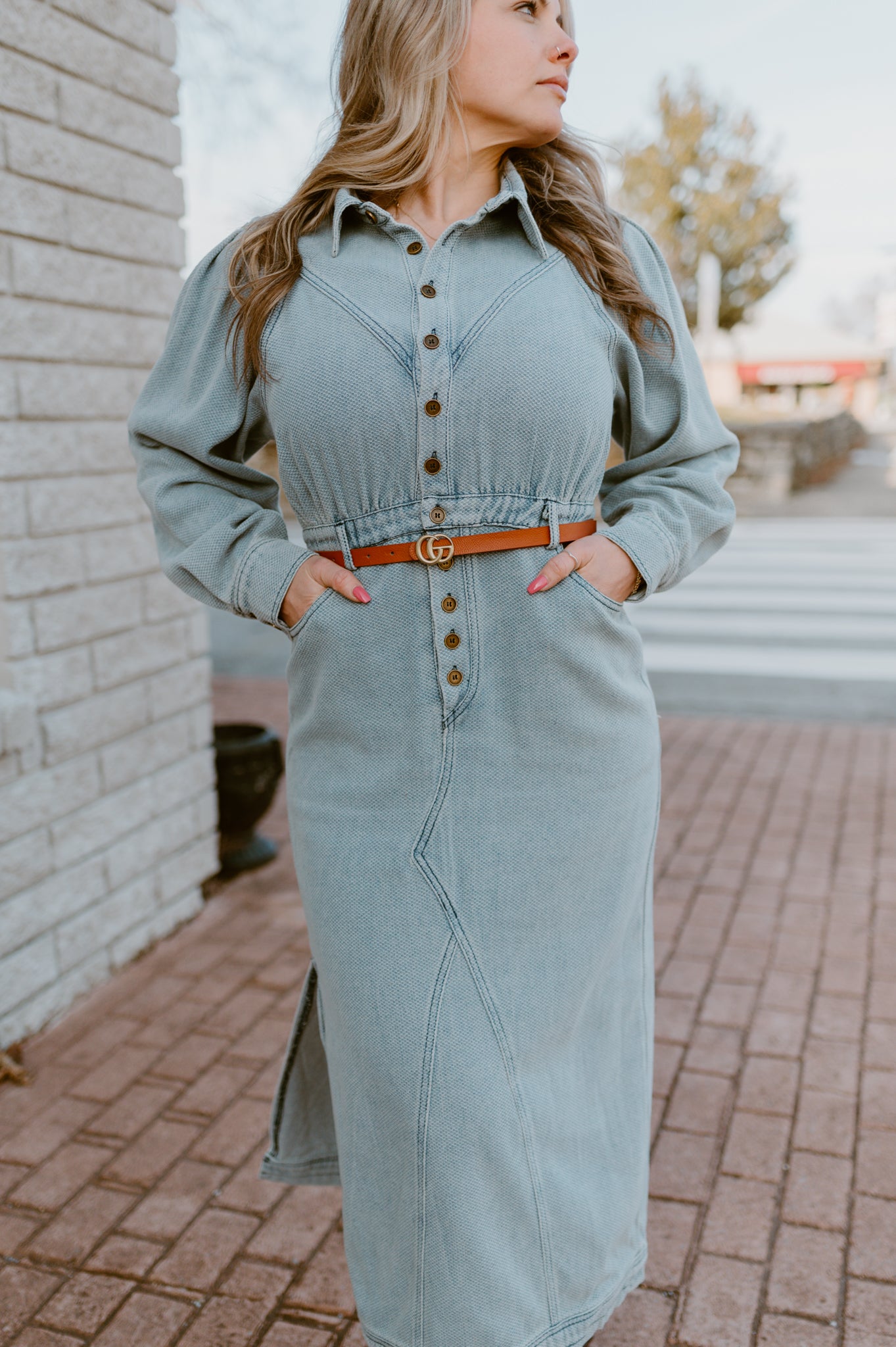 The Laurel Denim Dress