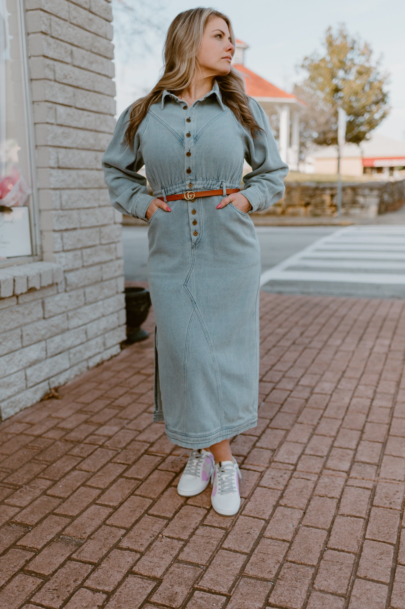 The Laurel Denim Dress