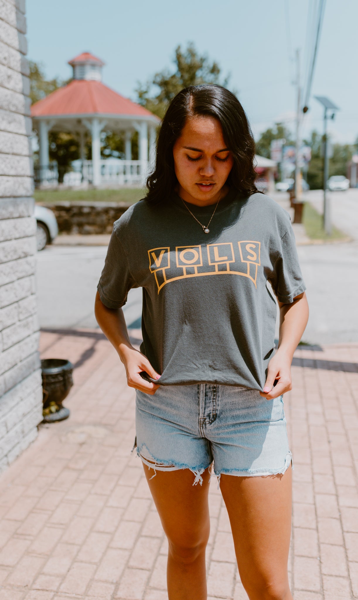 VOLS Classic Stadium Sign T-Shirt