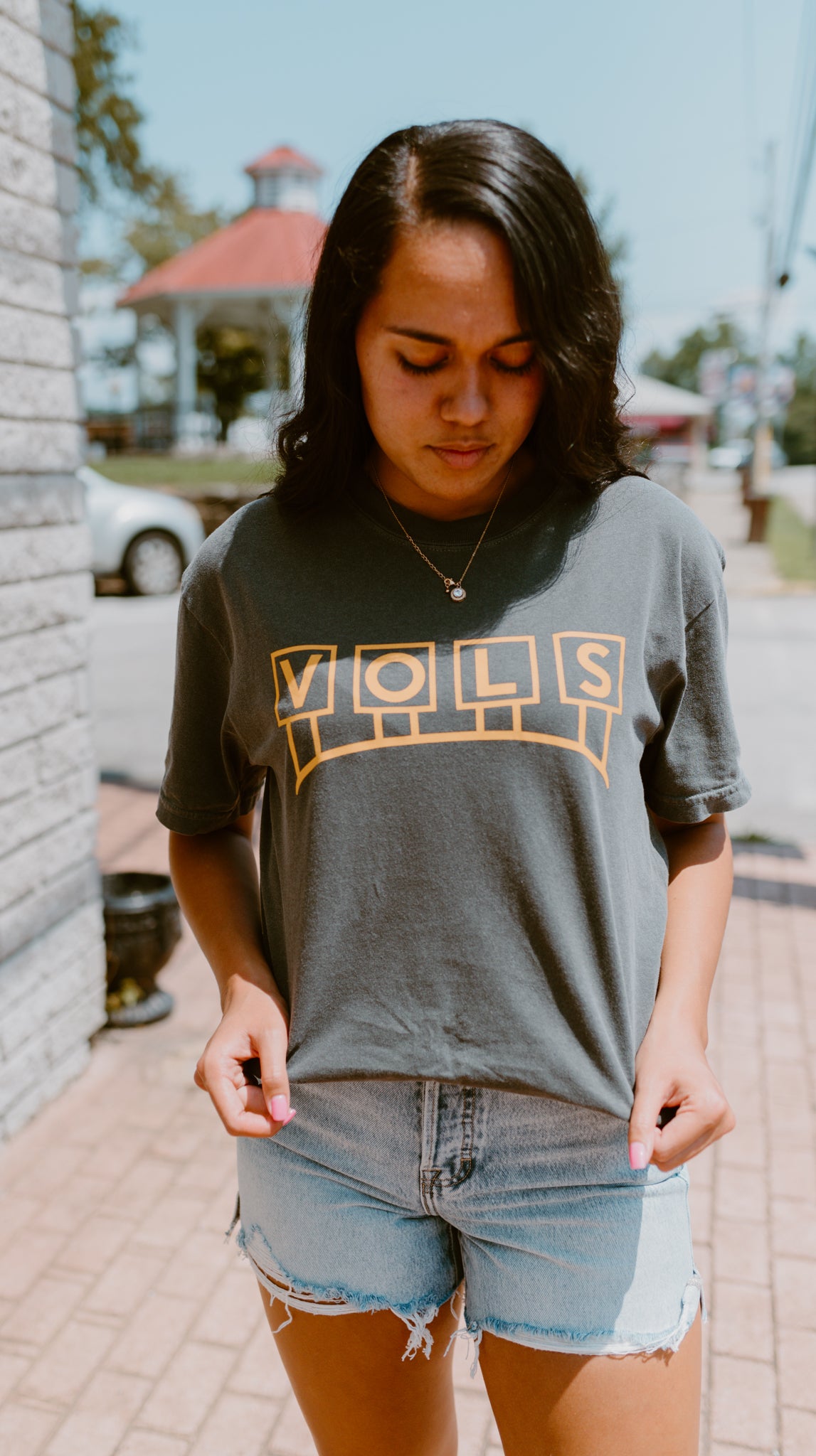 VOLS Classic Stadium Sign T-Shirt