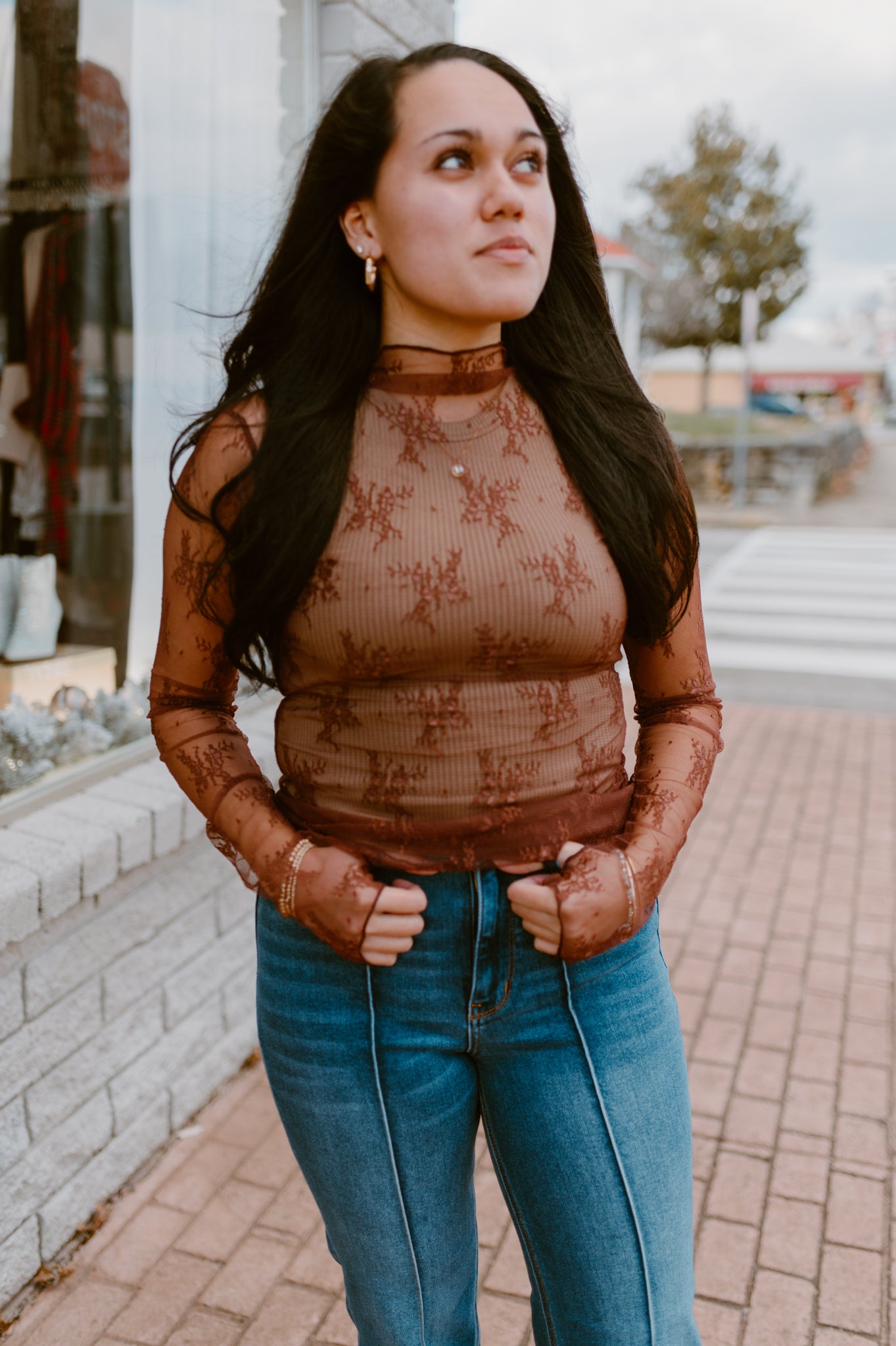 Mesh Lace High Neck Long Sleeve Lace | Brown