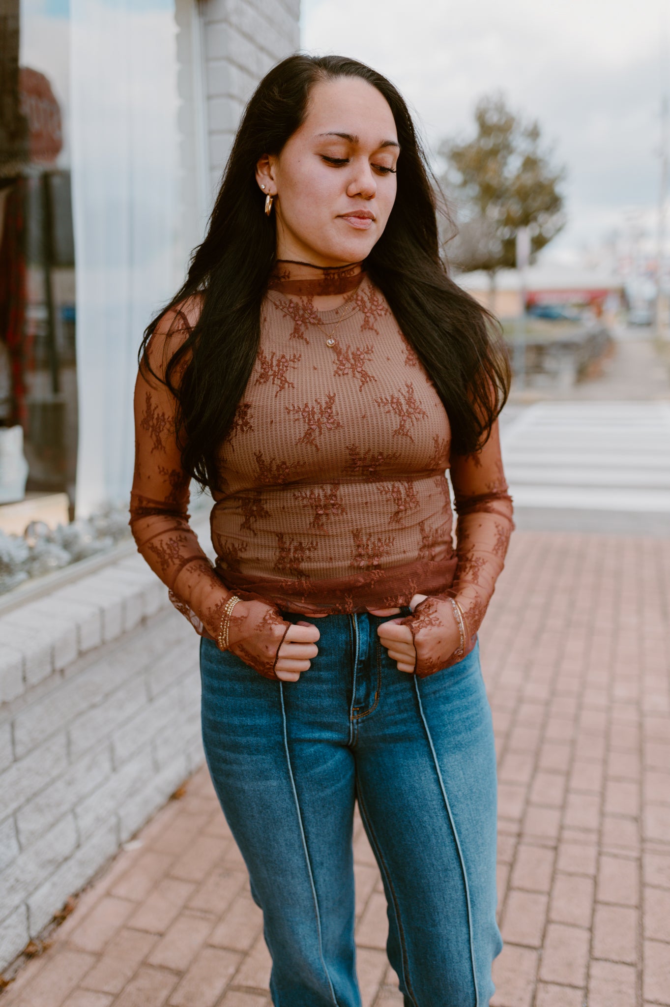 Mesh Lace High Neck Long Sleeve Lace | Brown