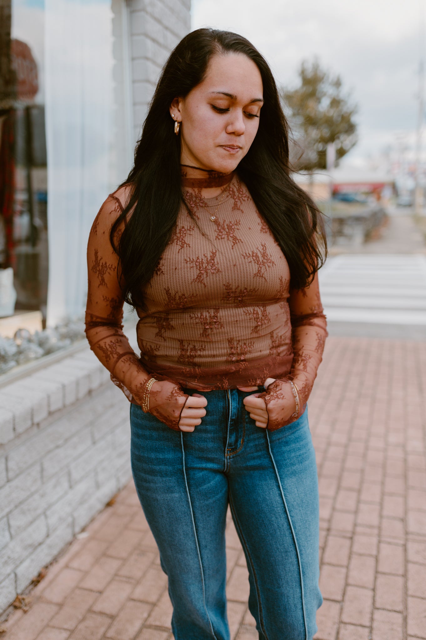 Mesh Lace High Neck Long Sleeve Lace | Brown