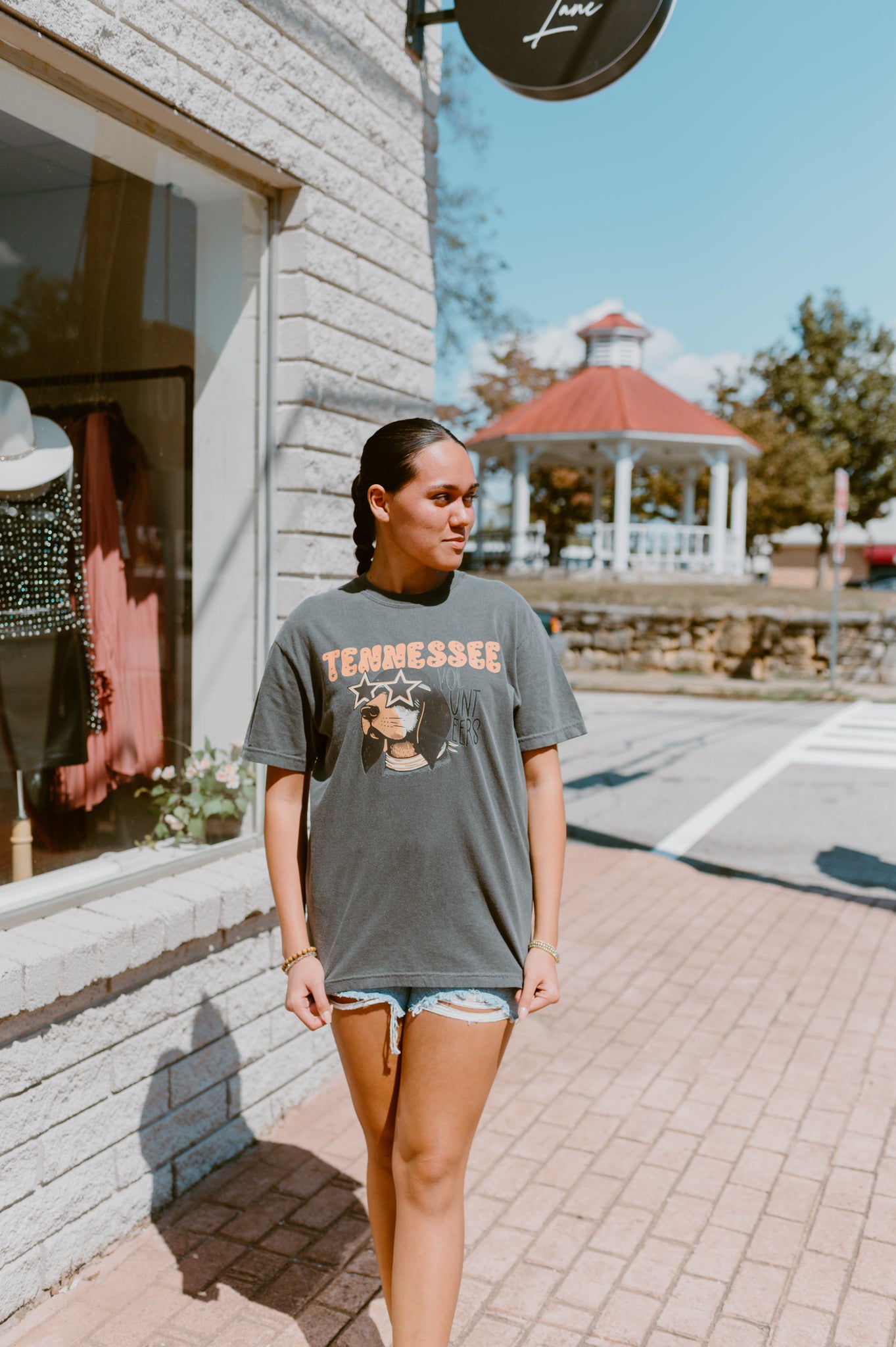 Retro Smokey Tennessee Tee