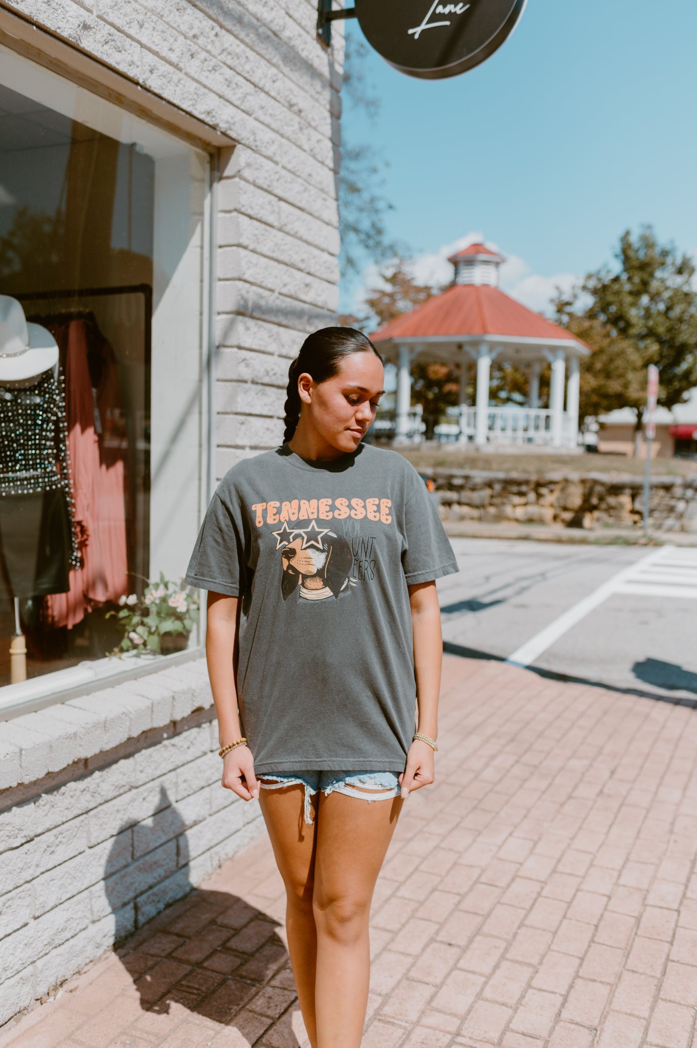 Retro Smokey Tennessee Tee