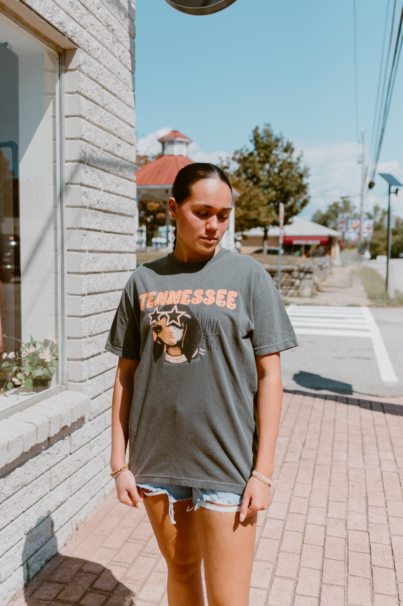 Retro Smokey Tennessee Tee