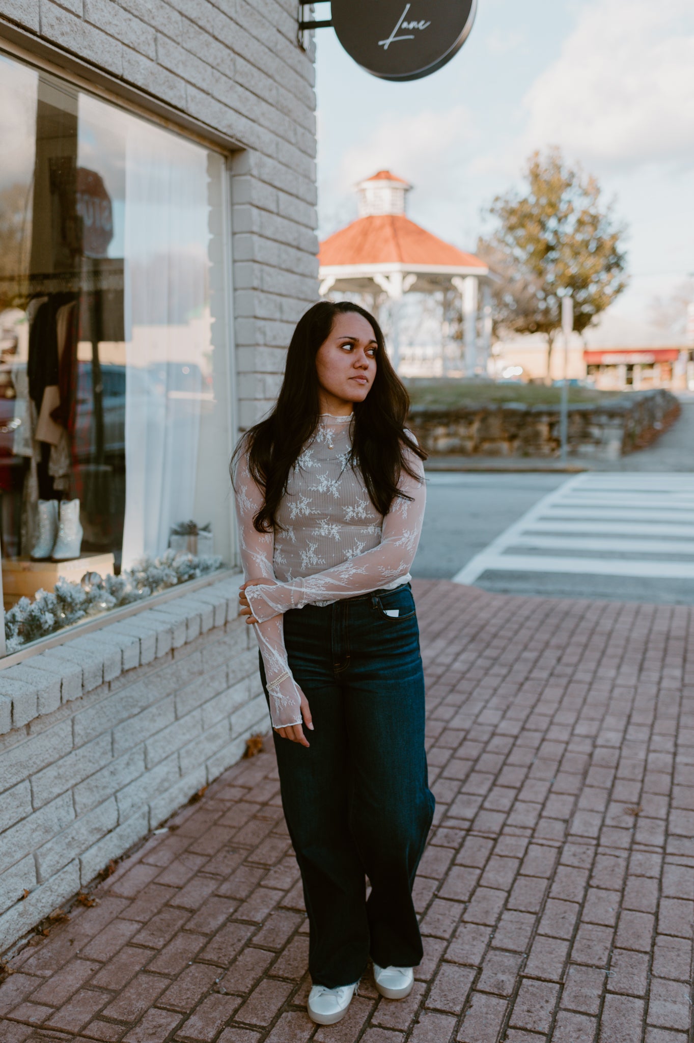 Mesh Lace High Neck Long Sleeve Lace | White