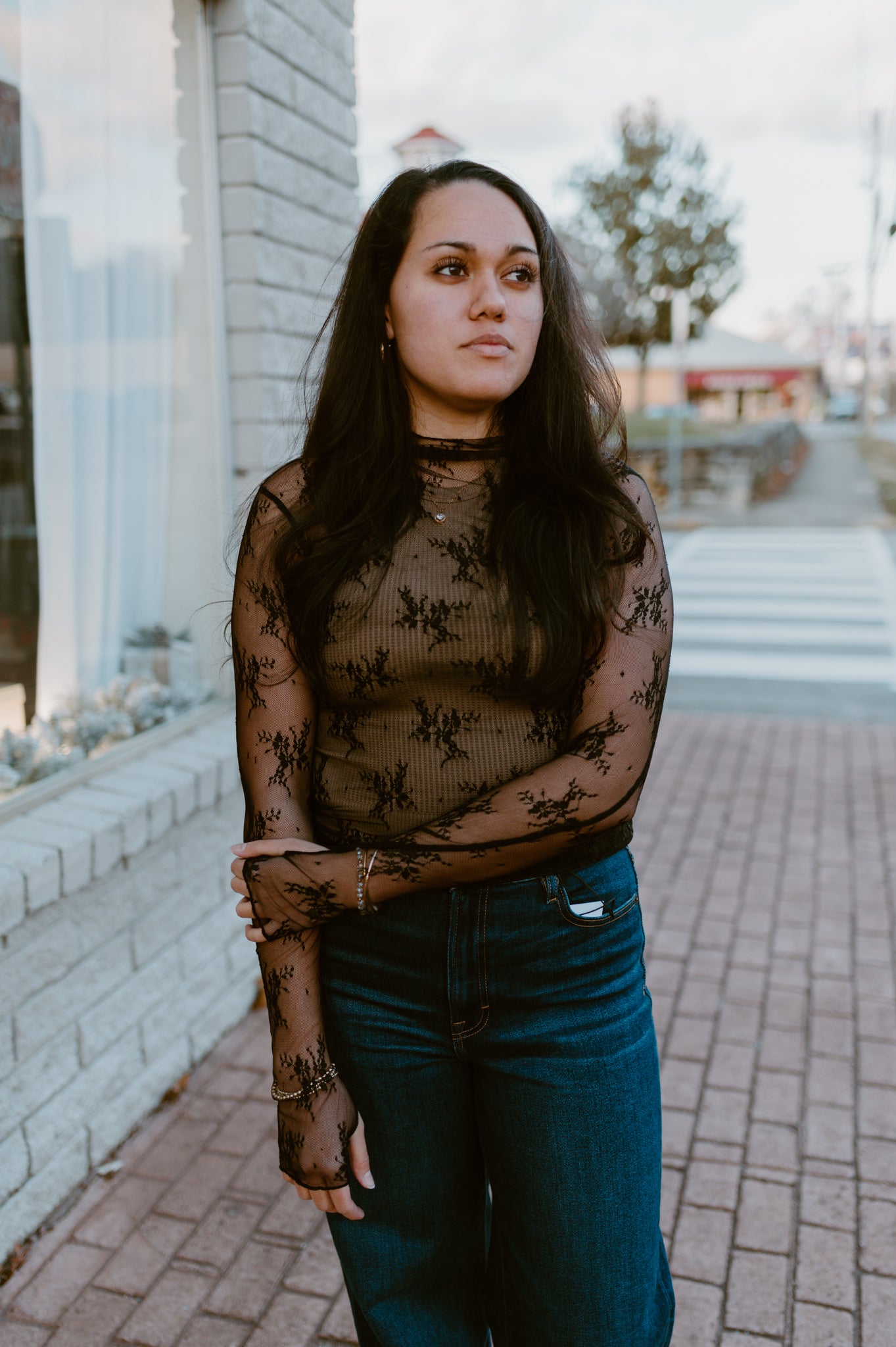 Mesh Lace High Neck Long Sleeve Lace | Black