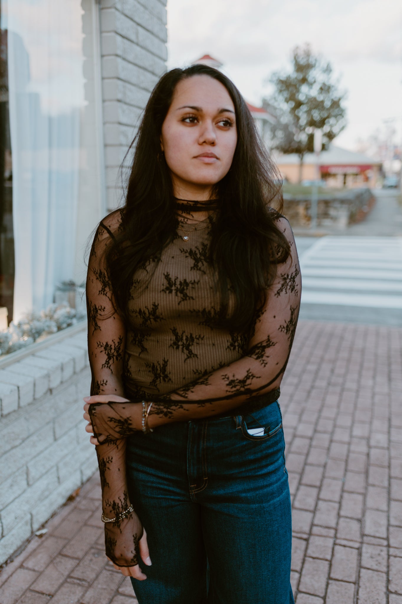 Mesh Lace High Neck Long Sleeve Lace | Black