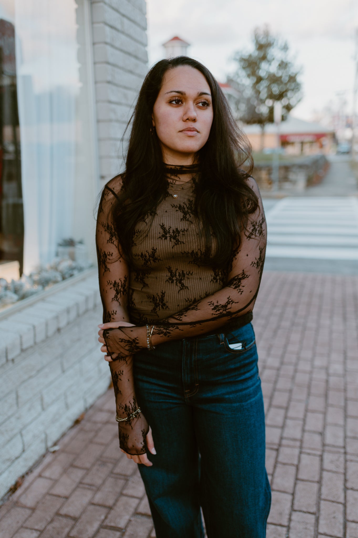 Mesh Lace High Neck Long Sleeve Lace | Black