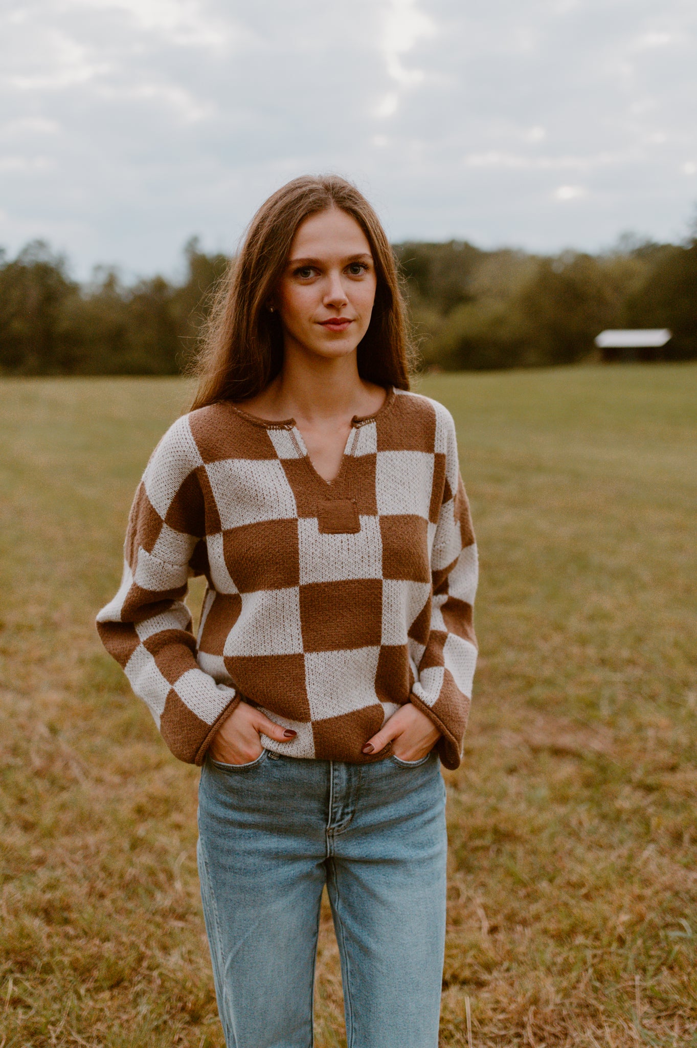 Checkered Crew Neck Sweater| Mocha