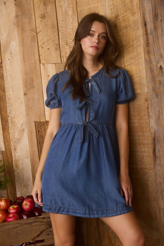 The Orchard Bow-Front Denim Dress