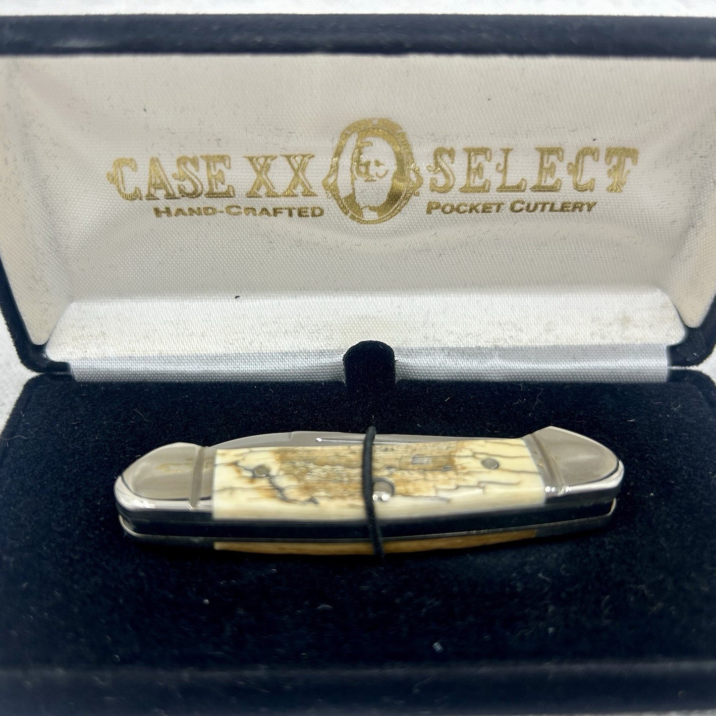 Case XX Baby Butterbean Mammoth Ivory w Velvet Display, Original Box and Cert