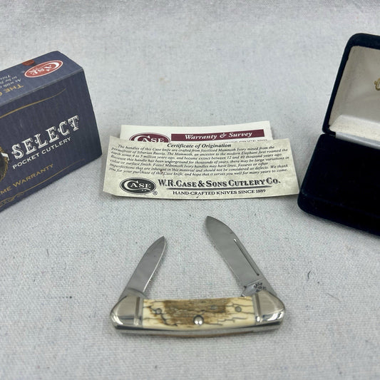 Case XX Baby Butterbean Mammoth Ivory w Velvet Display, Original Box and Cert