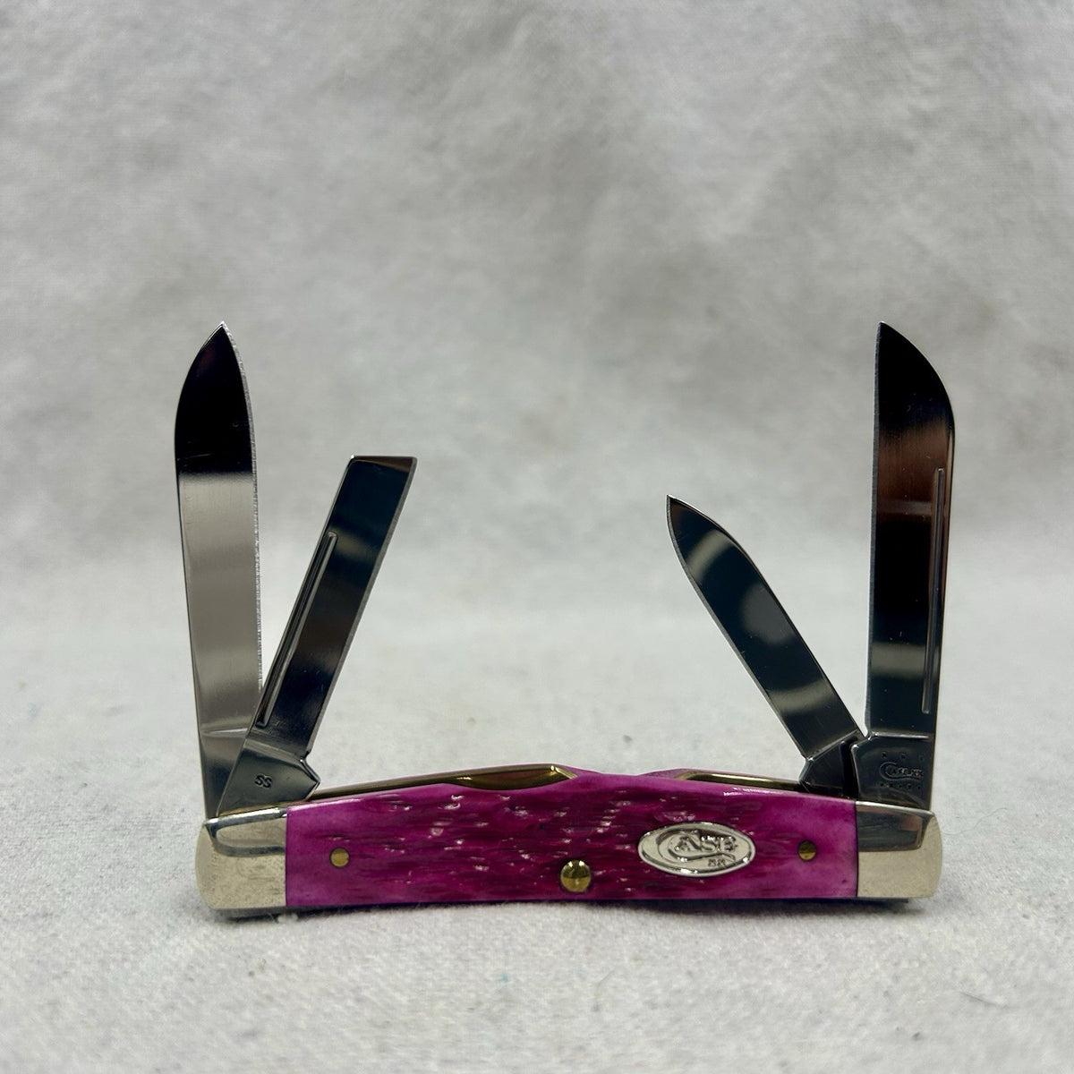 Case XX Congress - Beautiful Magenta Bone
