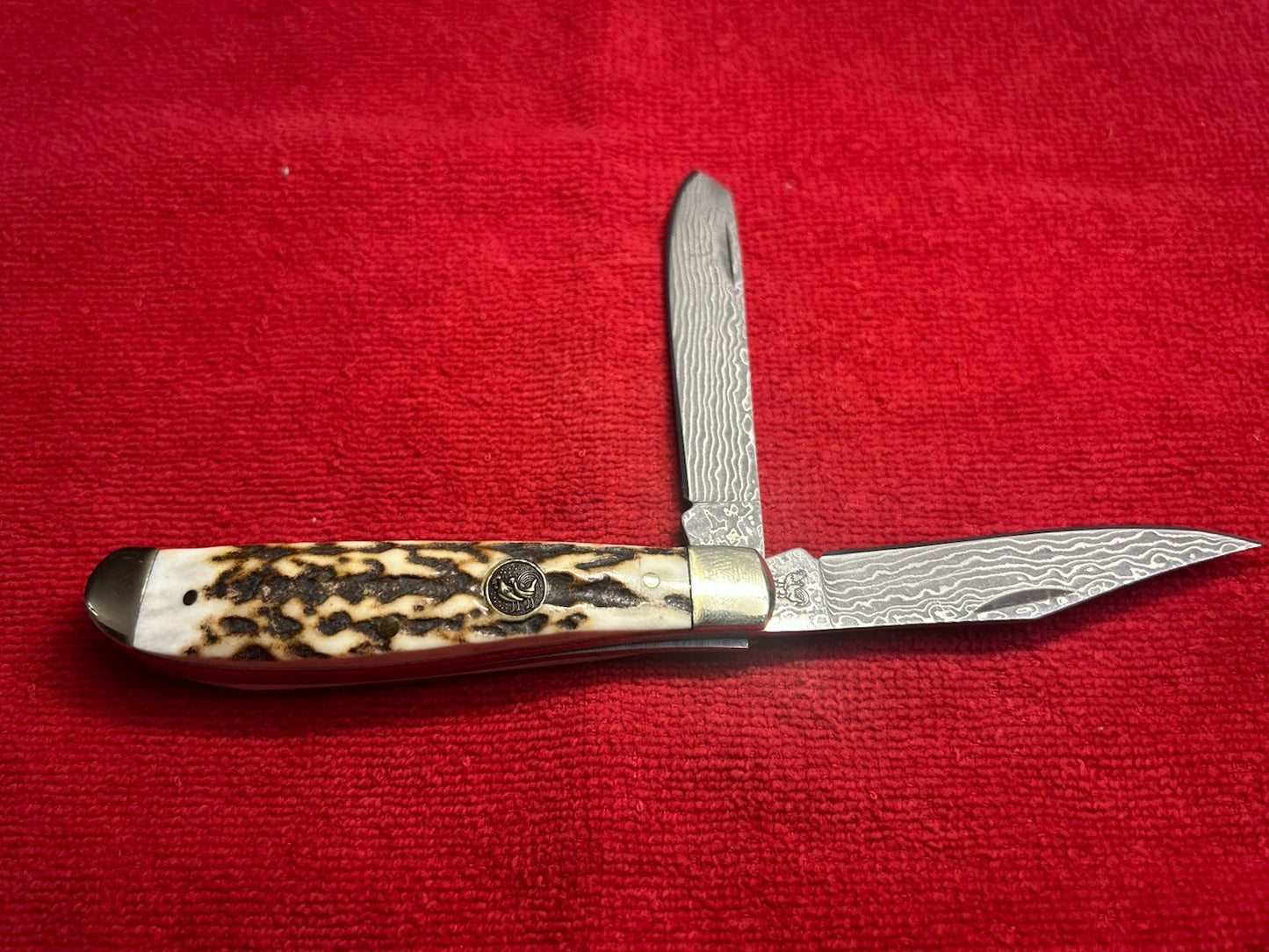 Hen And Rooster Trapper Knife - Damascus Blades - Beautiful Stag!!