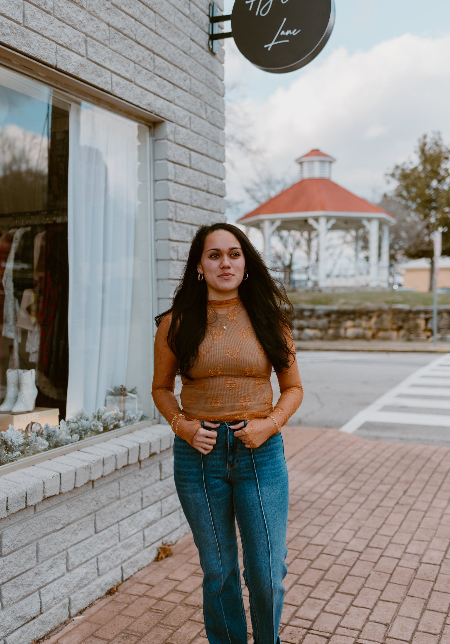 Mesh Lace High Neck Long Sleeve Lace | Burnt Orange