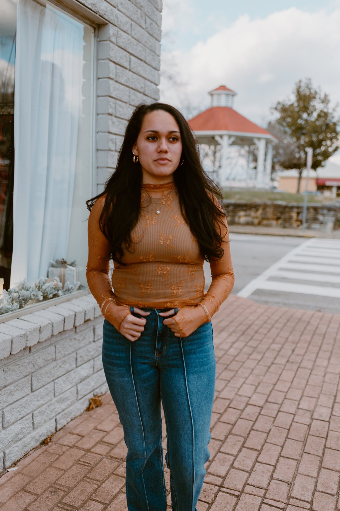 Mesh Lace High Neck Long Sleeve Lace | Burnt Orange