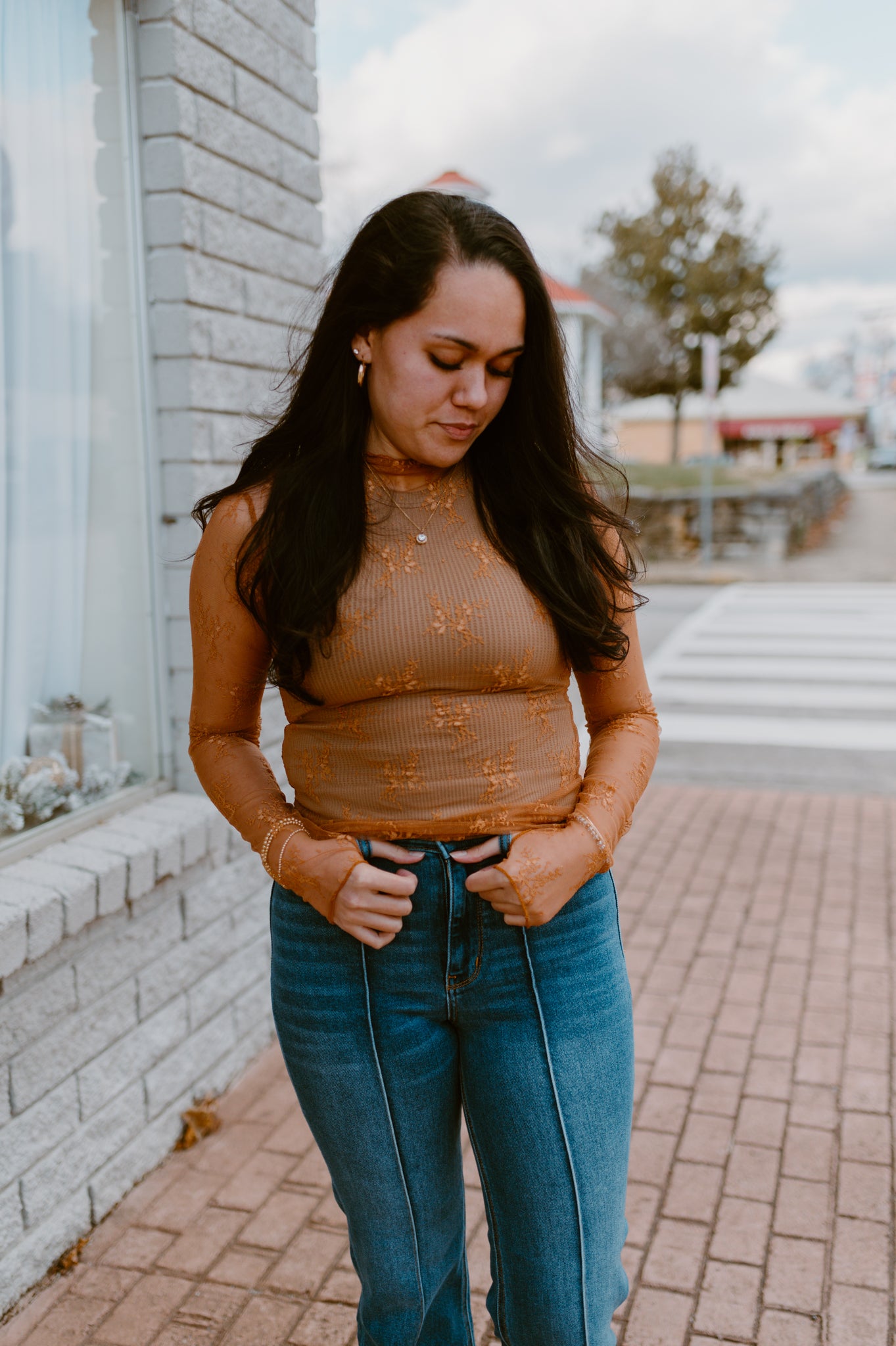 Mesh Lace High Neck Long Sleeve Lace | Burnt Orange