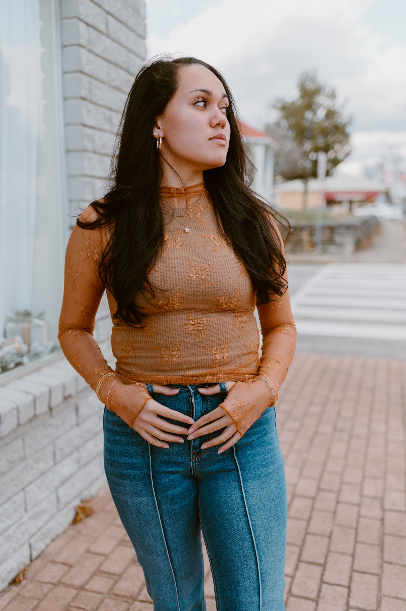 Mesh Lace High Neck Long Sleeve Lace | Burnt Orange