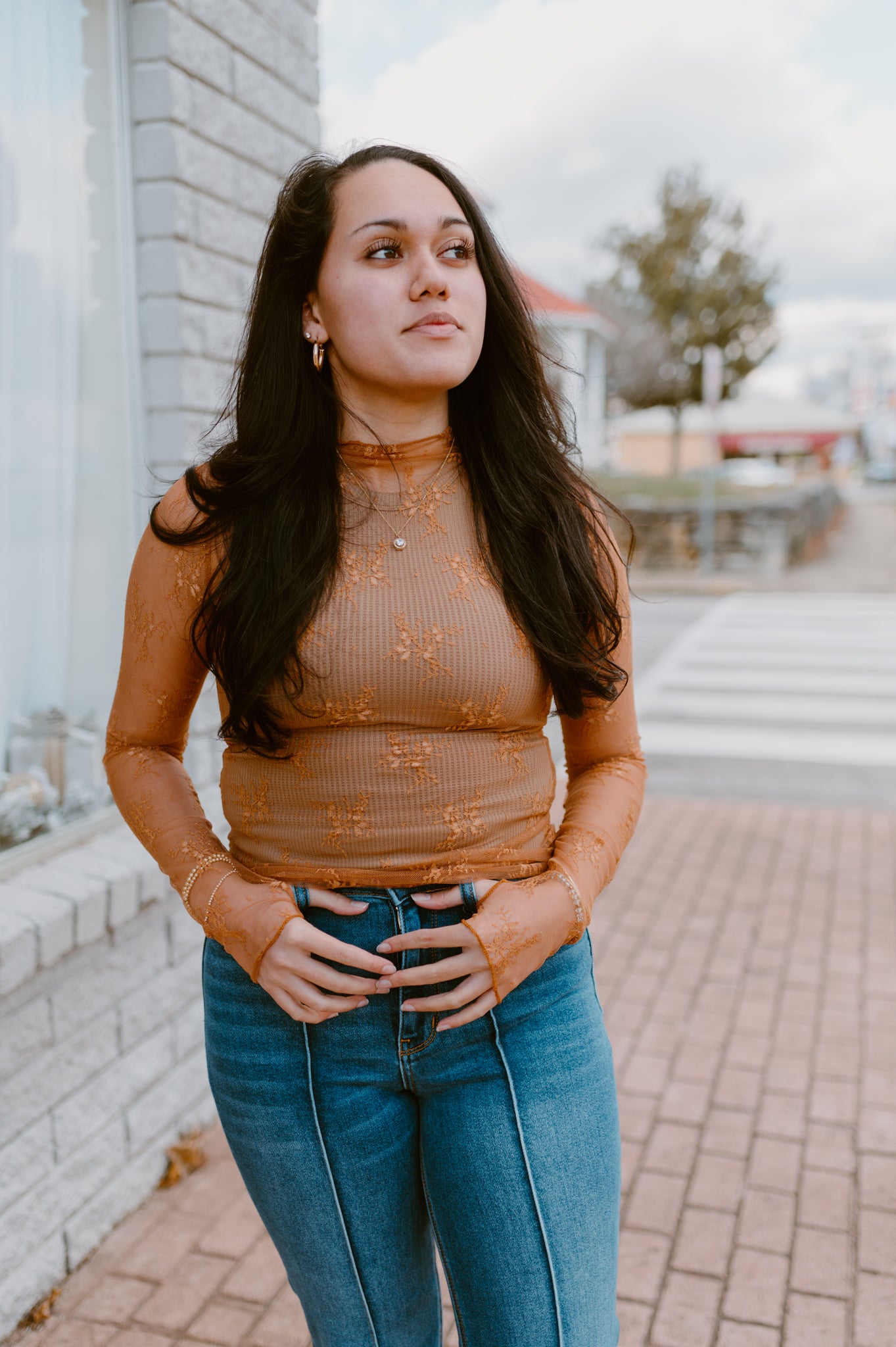 Mesh Lace High Neck Long Sleeve Lace | Burnt Orange