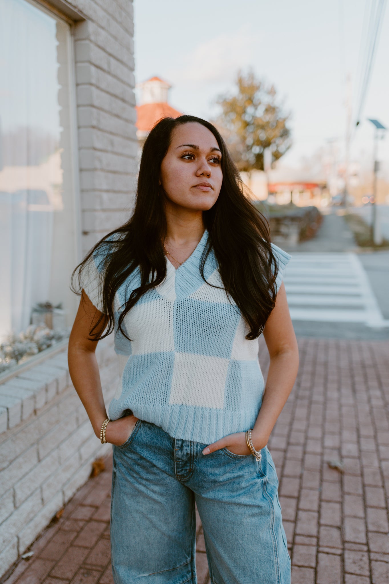 Preppy  Powder Blue Checkered Sweater Vest