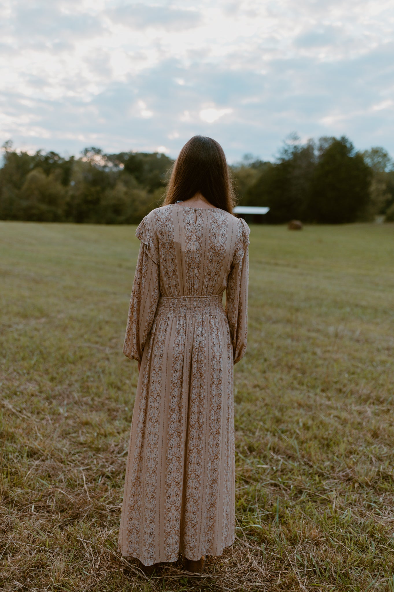 Picture Perfect Smocked Paisley Dress