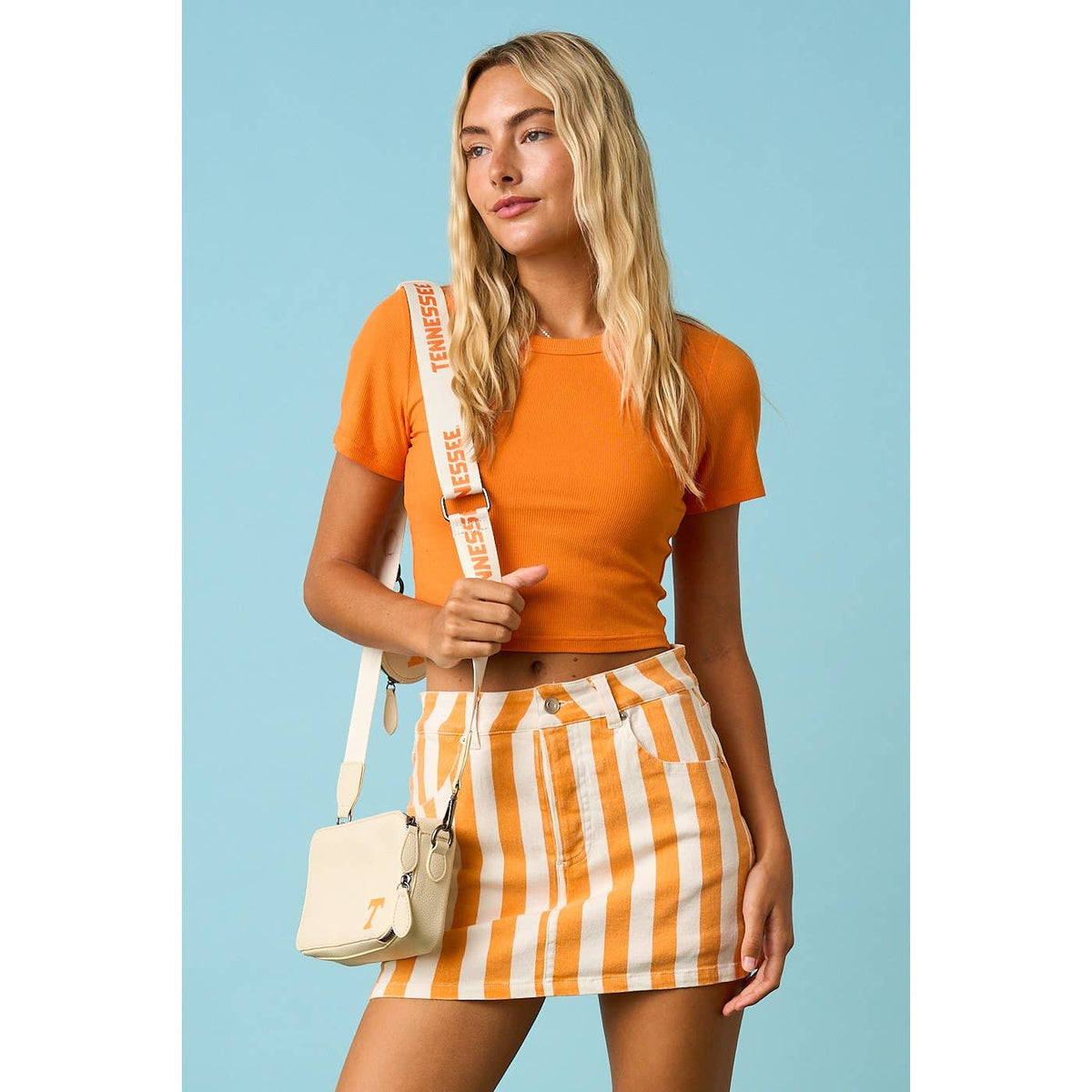 Spirit Stripe Denim Skort